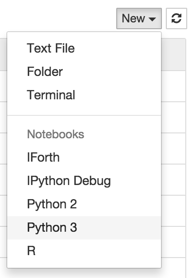 Jupyter "New" menu